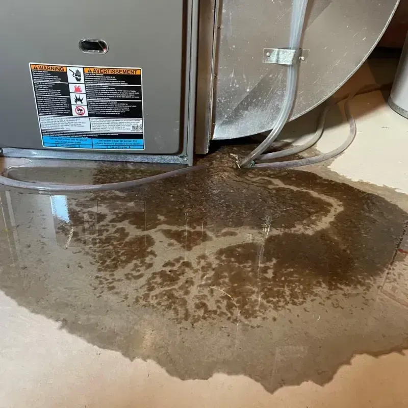 Appliance Leak Cleanup in Lewiston, UT